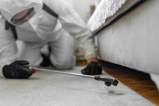 Professional Cockroach Control technician working in West Dundee, IL